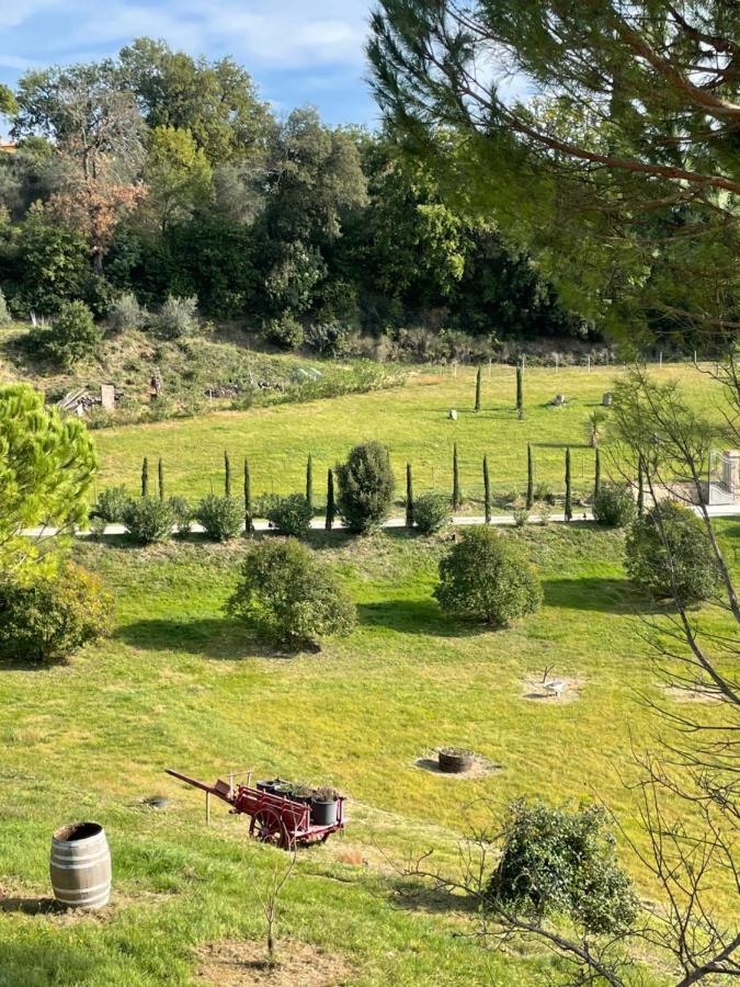 Resort Panoramico Canale Suite - Private Parking - Natural Park Синалунга Екстериор снимка