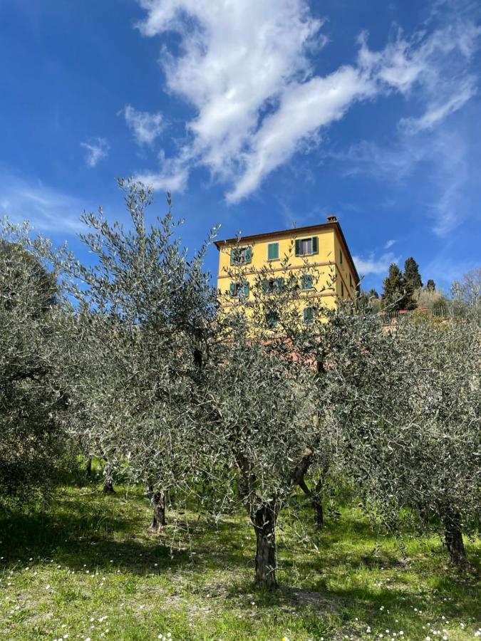 Resort Panoramico Canale Suite - Private Parking - Natural Park Синалунга Екстериор снимка